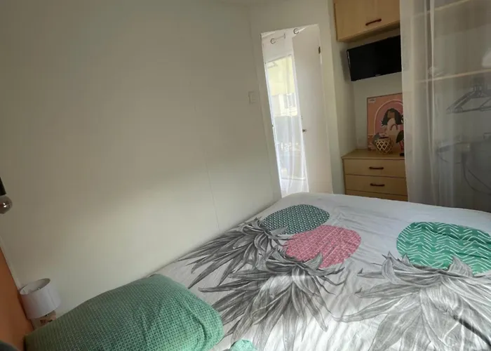 캠프장 Des Acacias